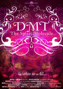 دانلود movie DMT: The Spirit Molecule 2010